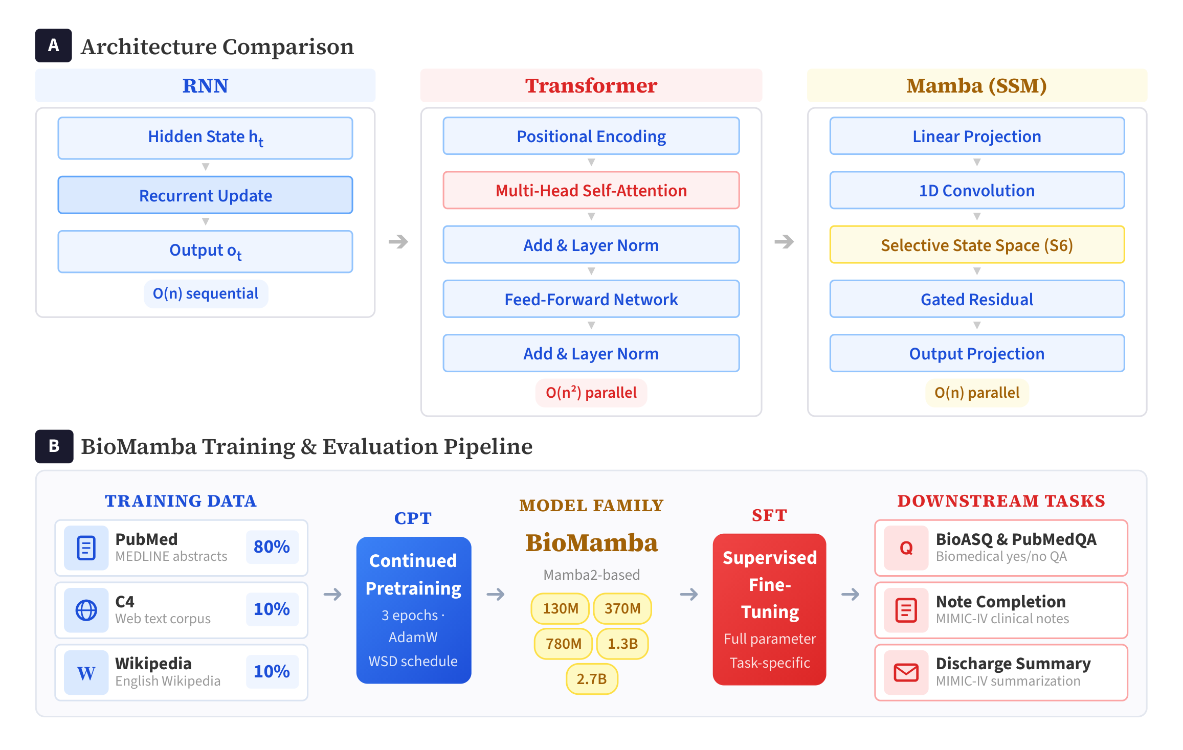 BioMamba Pipeline