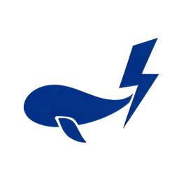DSH Manager Logo