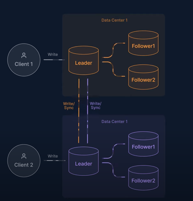 leader leader replication.png