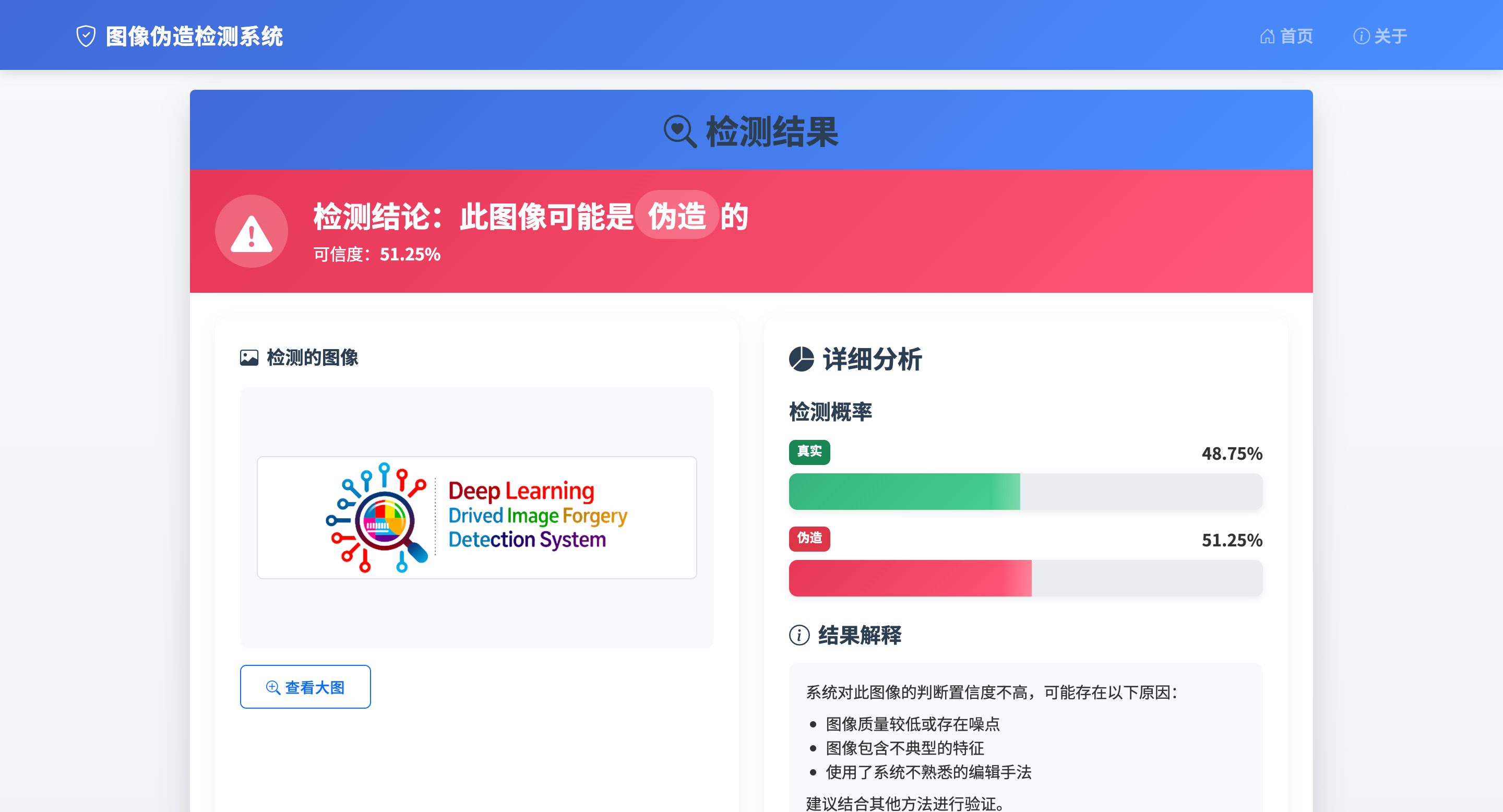 VerifyVision-Pro 系统界面示例
