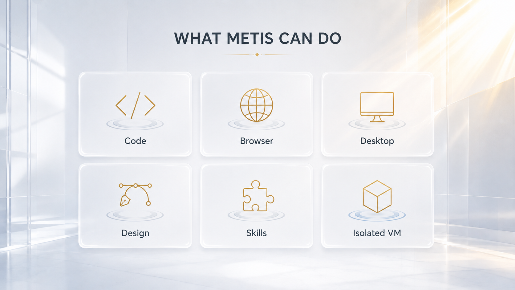 Metis Code、Browser、Desktop、Design、Skills 与 Isolated VM 能力