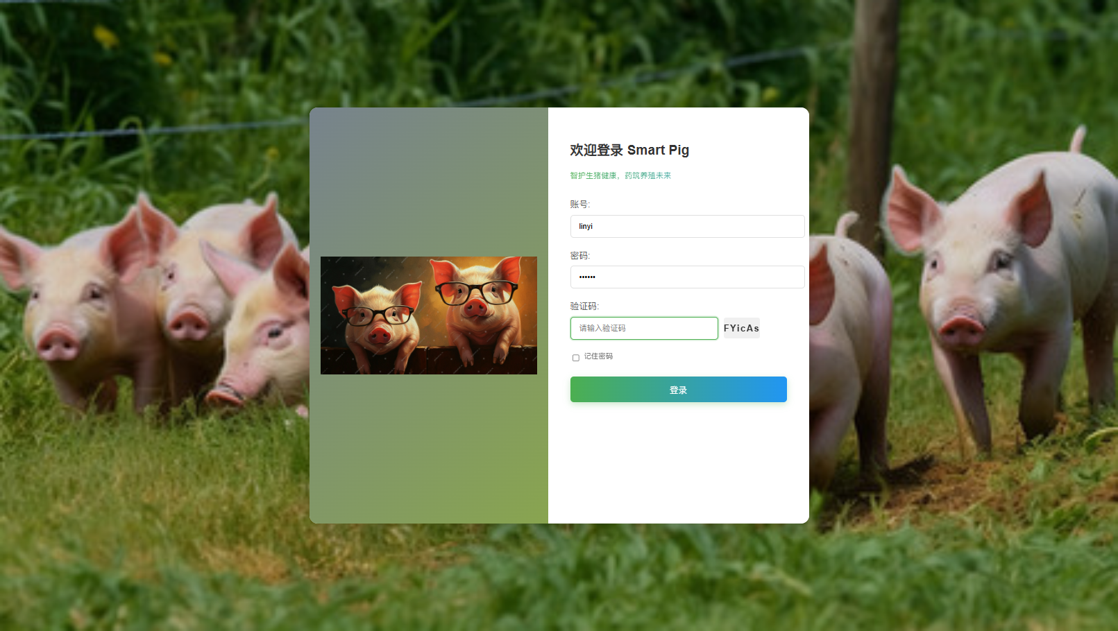 pig18