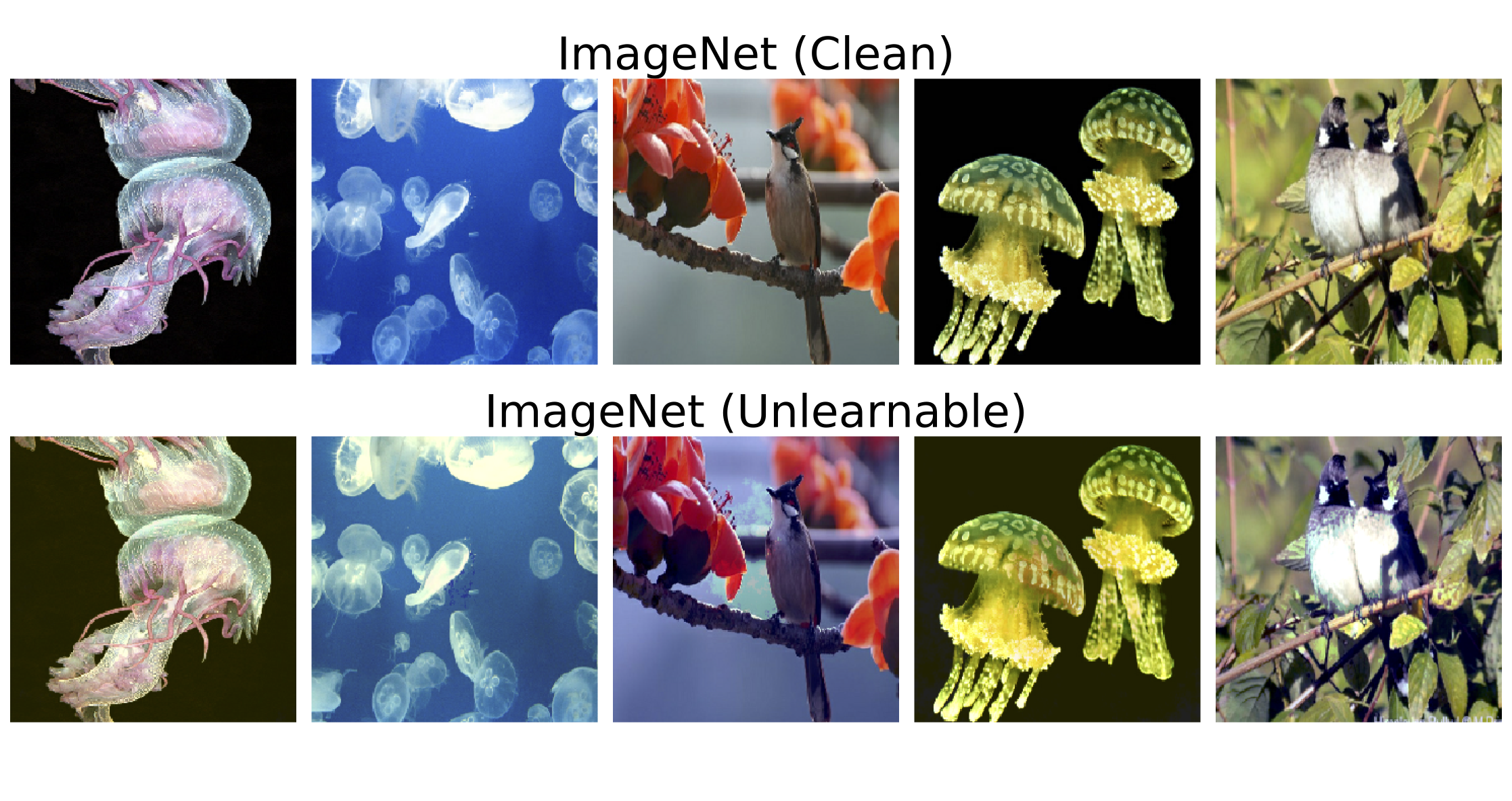 Imagenet AlexNet And ImageNet: The Birth Of Deep Learning | Pinecone
