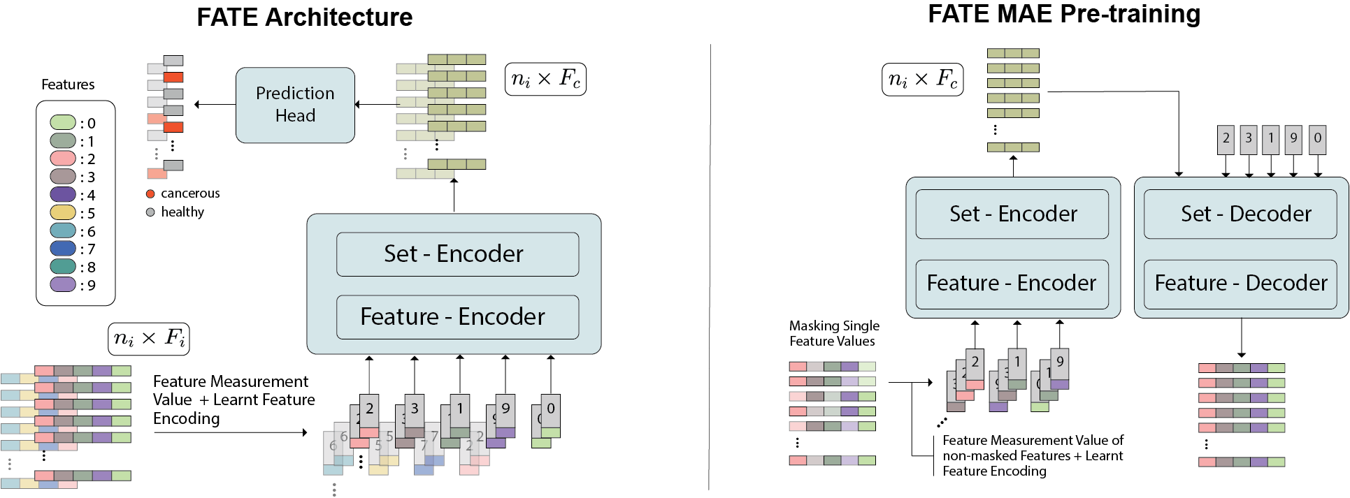 Fate Feature Agnostic Transformer Based Encoder For Learning