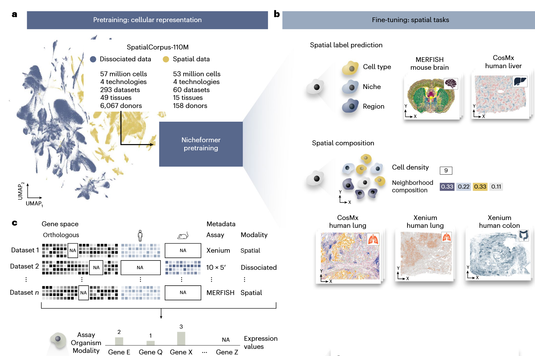 image-20260117135627630