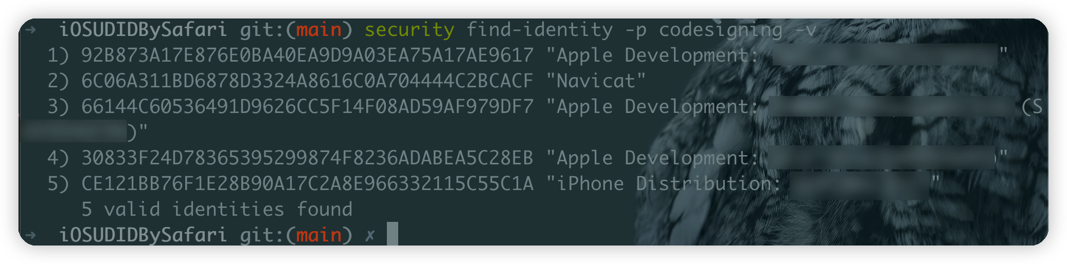 security-find-identity-c