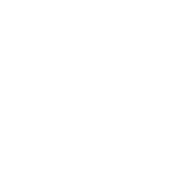 Downloads