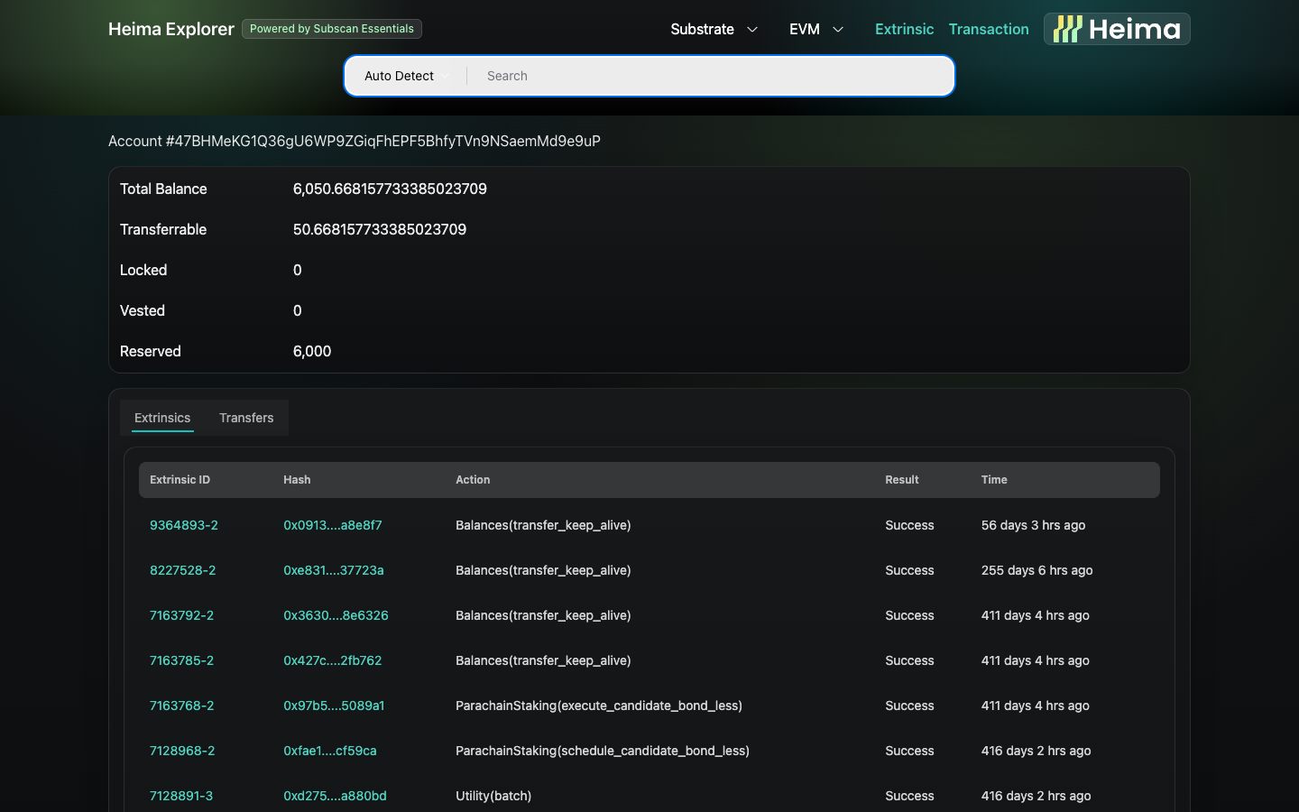 Heima Explorer Auto Detect routes Substrate account search to Account page