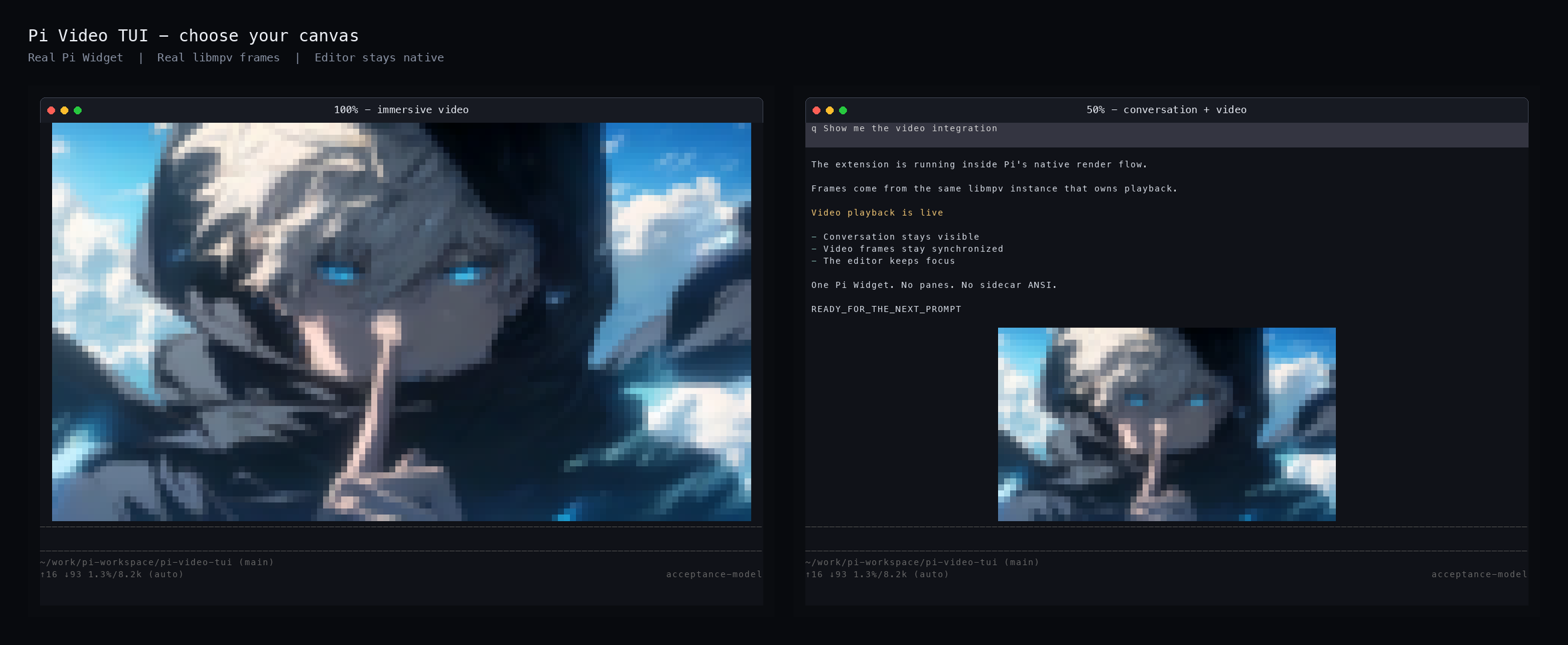 pi-video-tui screenshot 1
