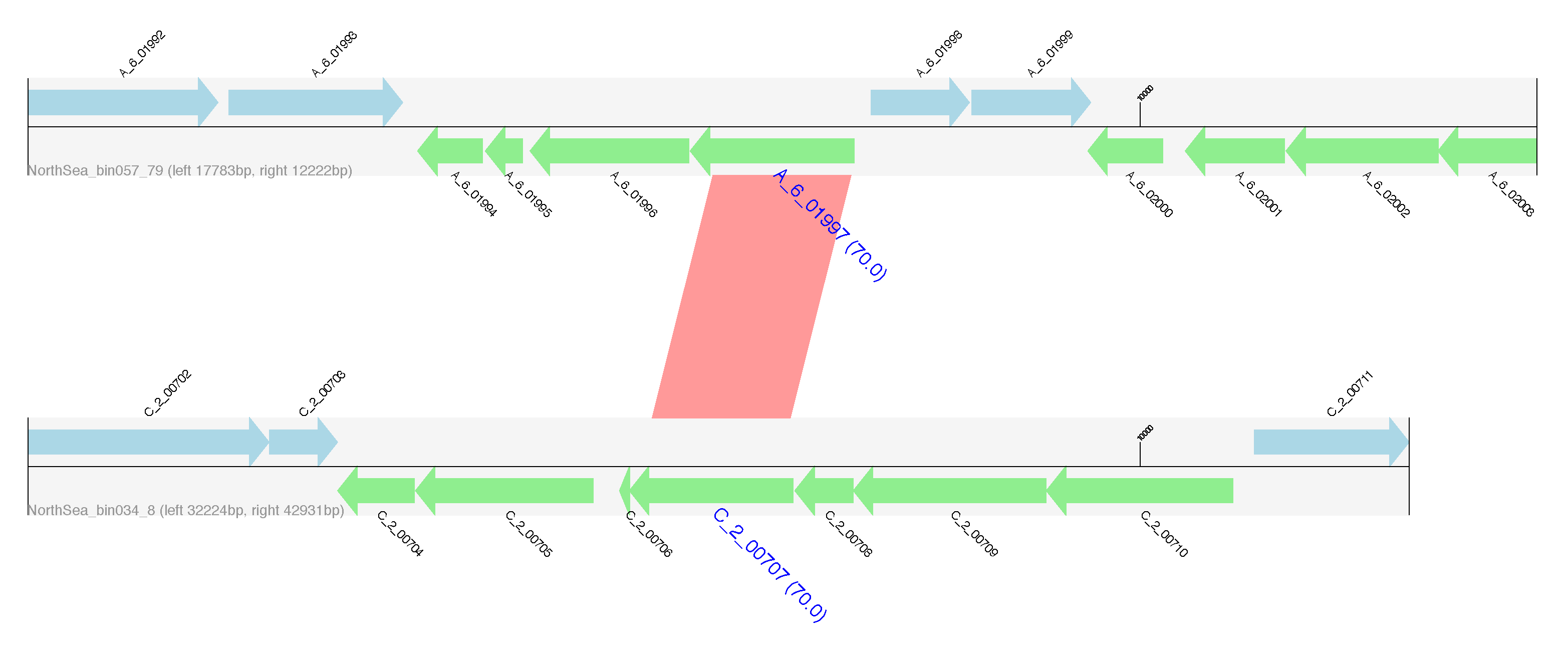 flanking_regions