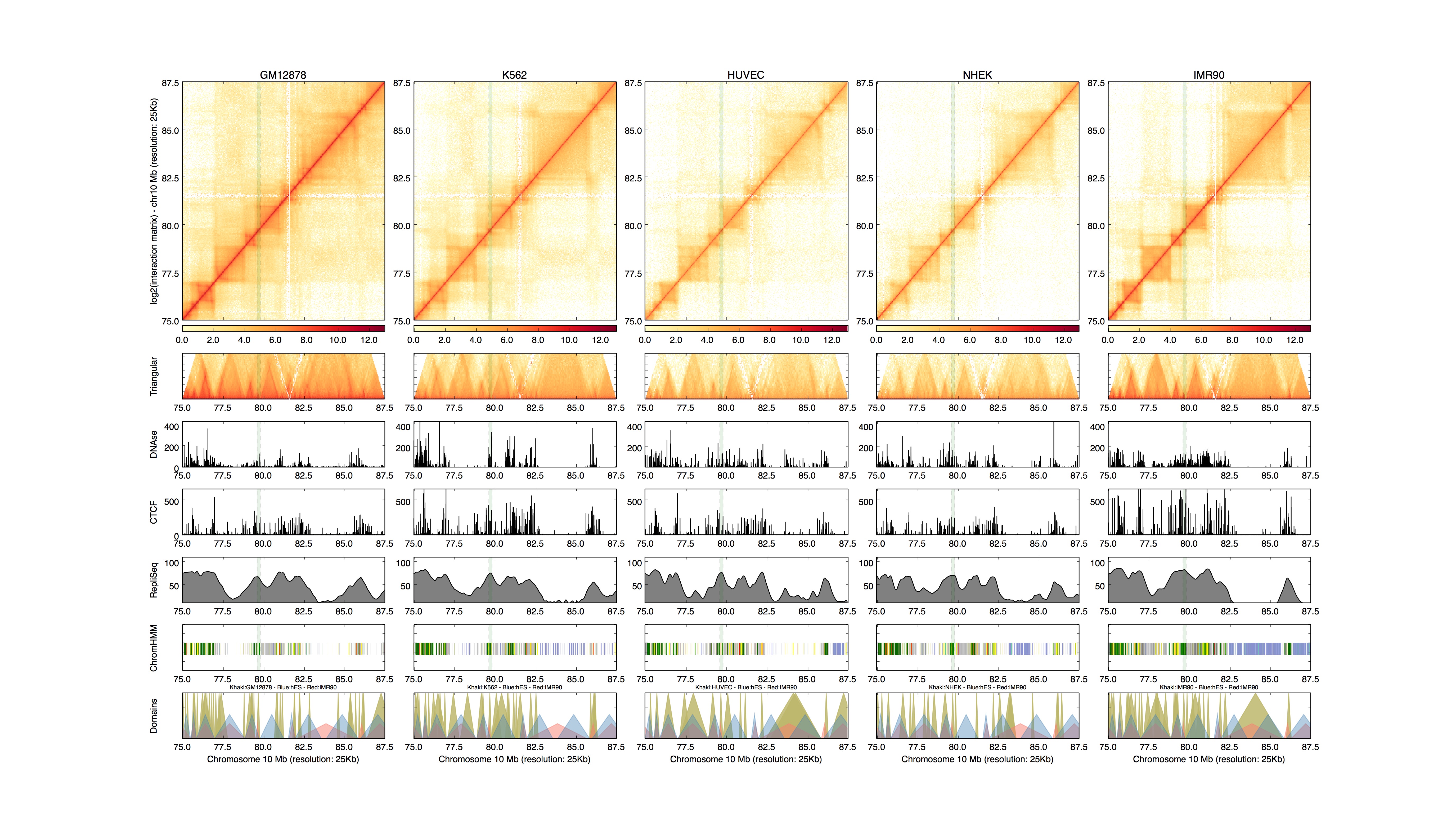 Example plot from HiCPlotter