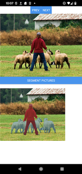 Screenshot of DeepLabV3Example on Android