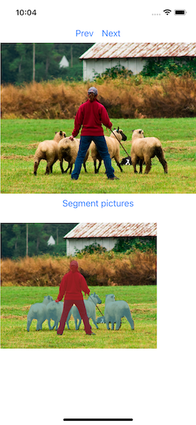 Screenshot of DeepLabV3Example on iOS