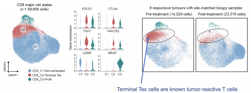 image-20211016204039661