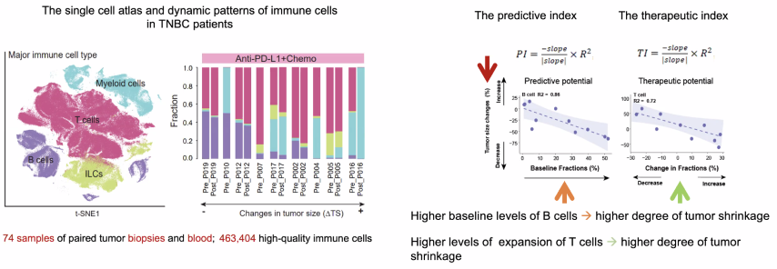 image-20211016205142400