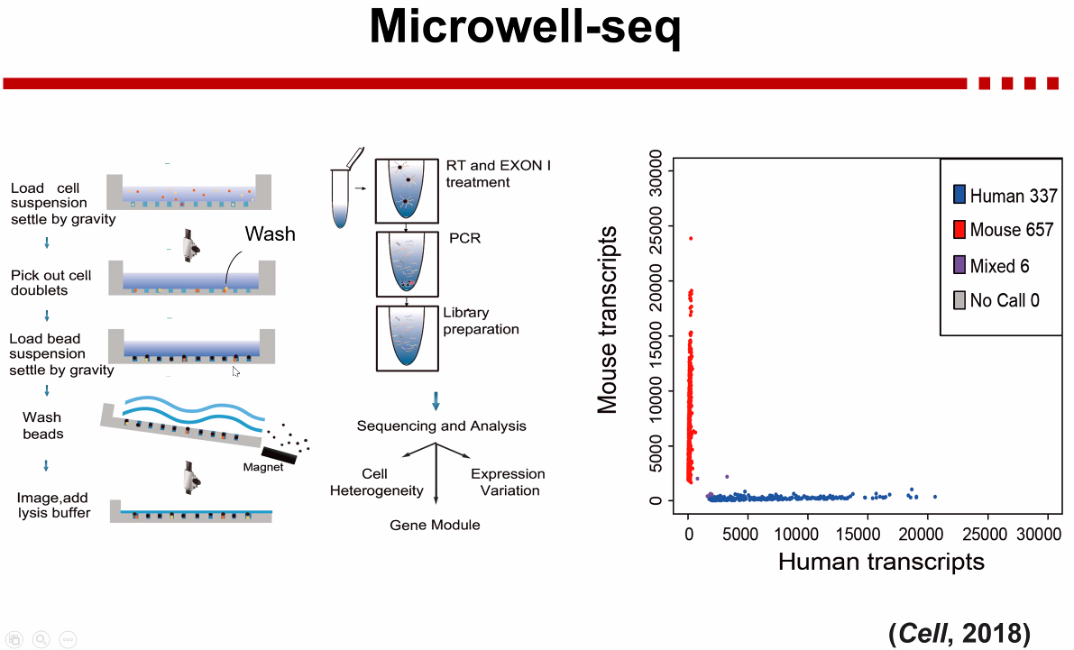 image-20221013171252054