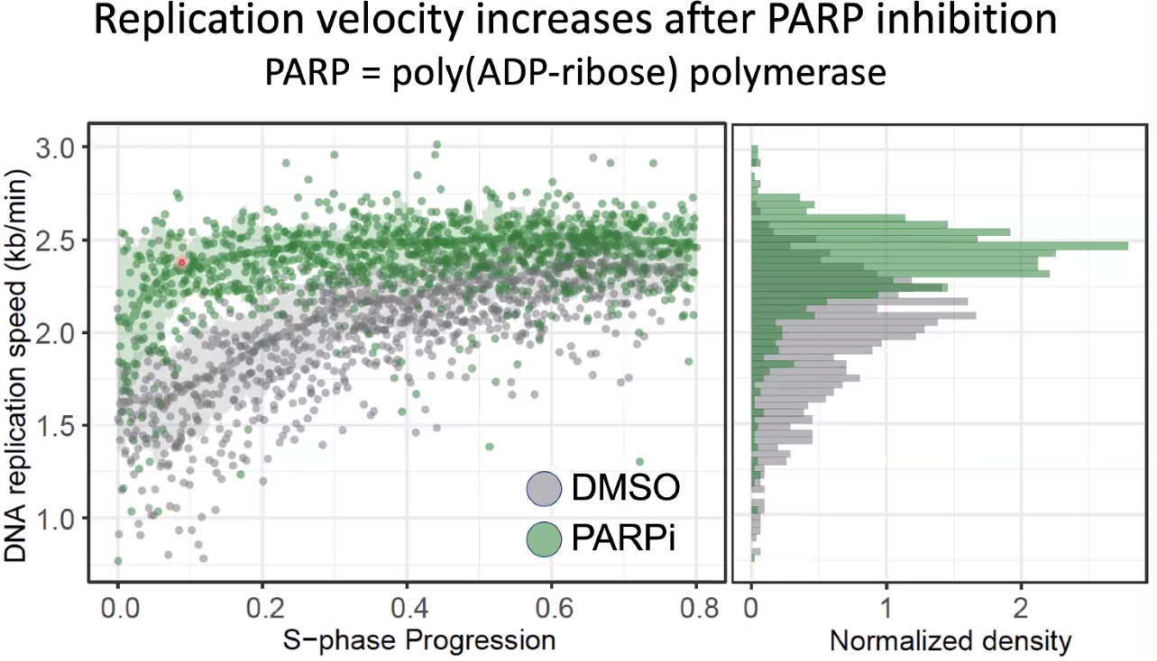 image-20221014154731763