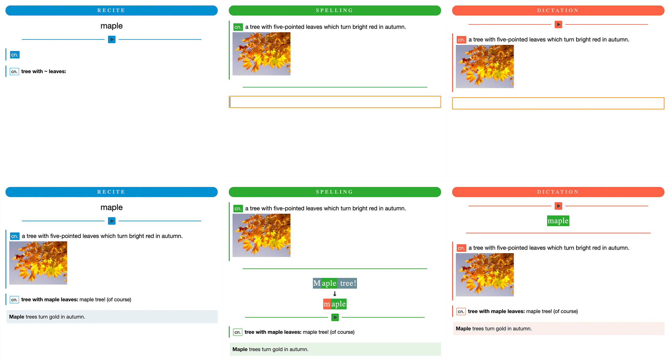 Maple Anki Utility