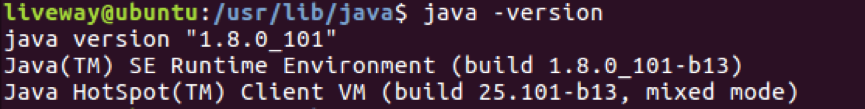 java_version