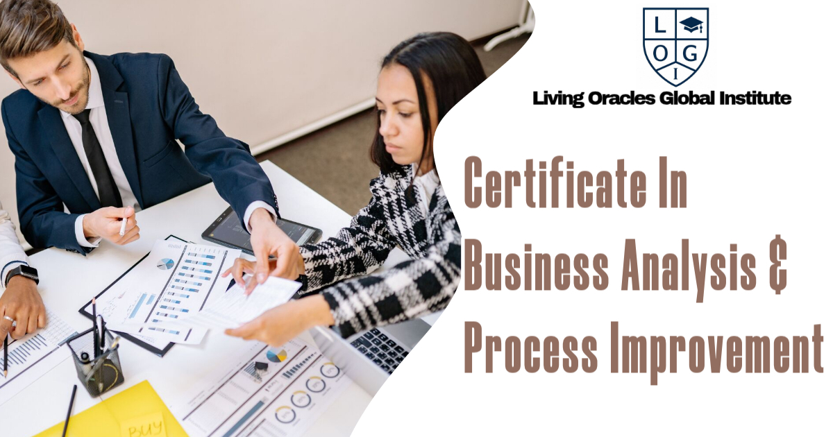 Certificate in Business Analysis & Process Improvement