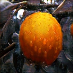 apple2orange_2