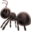 ant