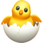 hatching_chick