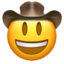 face_with_cowboy_hat