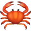 crab