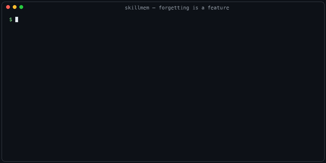 skillmem demo: a Russian query finds an English skill, unused skills decay
