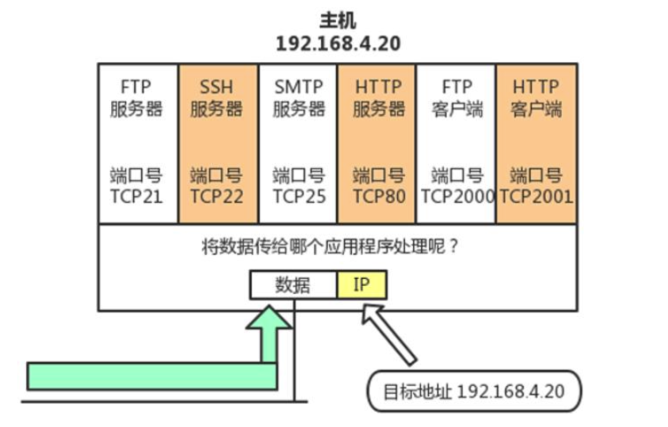 image-20221228174823569