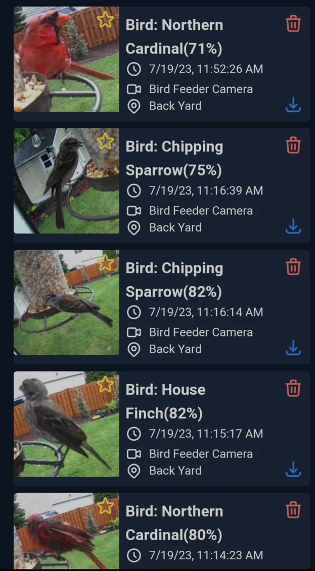 Bird Classification