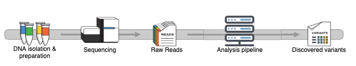 NGS sequencing process