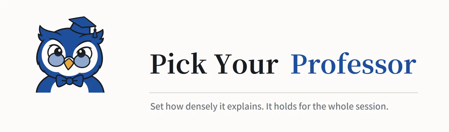 Pick Your Professor: set how densely it explains. It holds for the whole session.