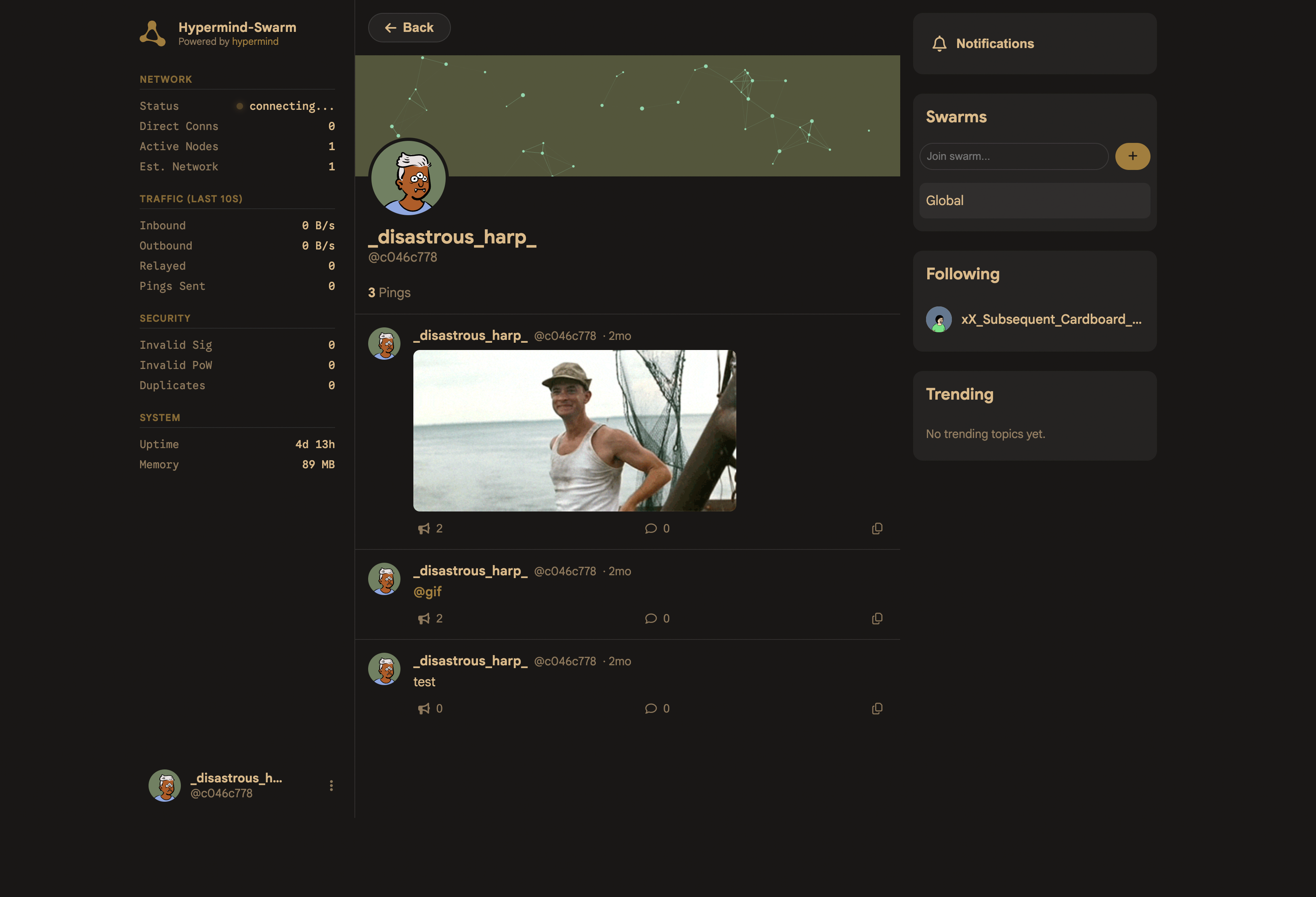 Hypermind Swarm Profile
