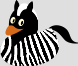 Zebra Duck