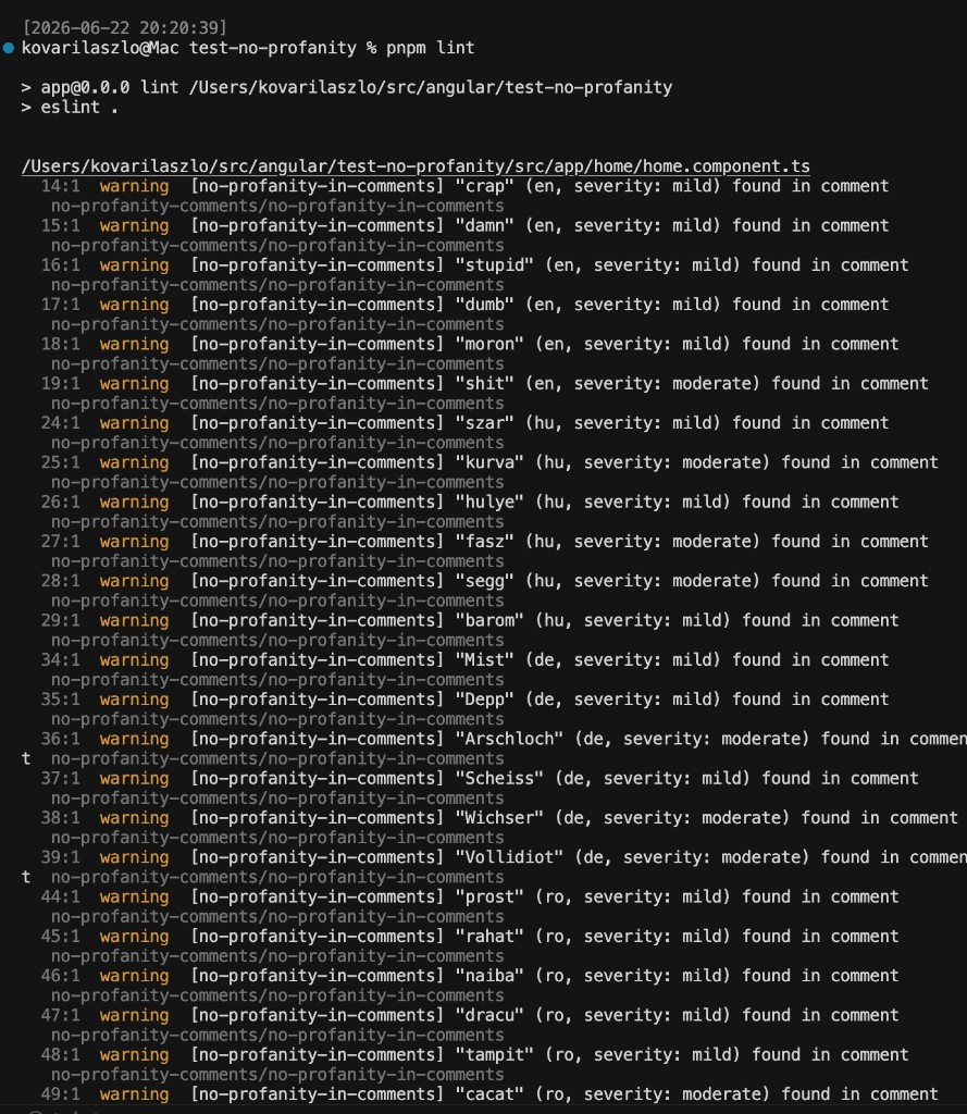 ESLint output showing no-profanity-in-comments warnings for English, Hungarian, German, and Romanian comments in an Angular component