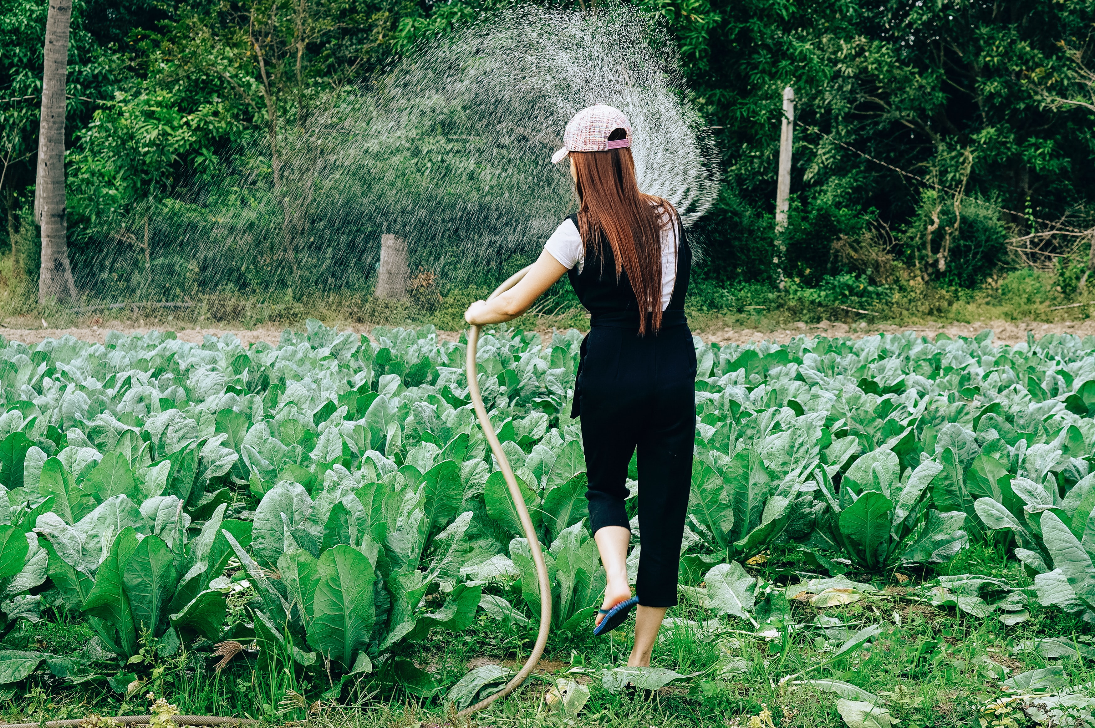 woman spraying field with hose