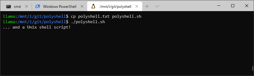 Unix shell demo
