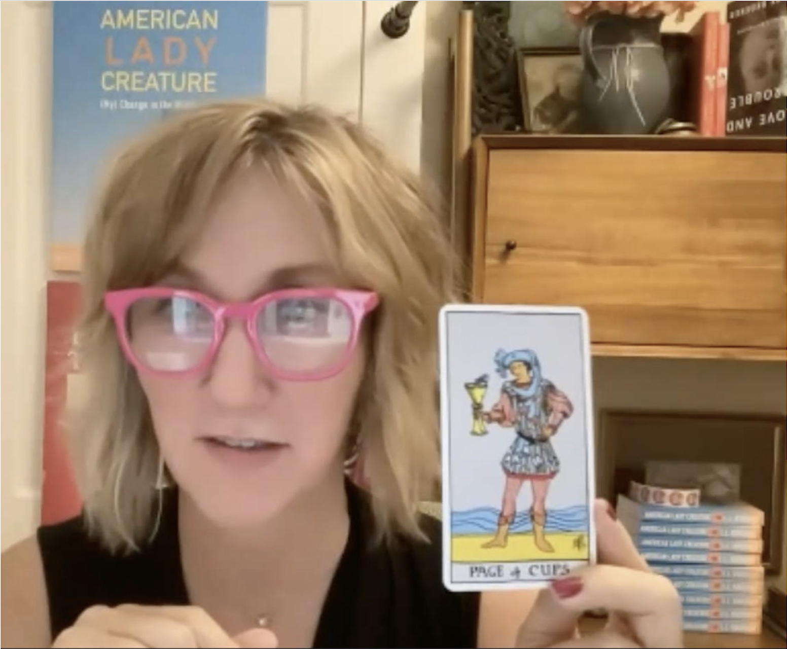 L.L. Kirchner speaking to a book club via Zoom