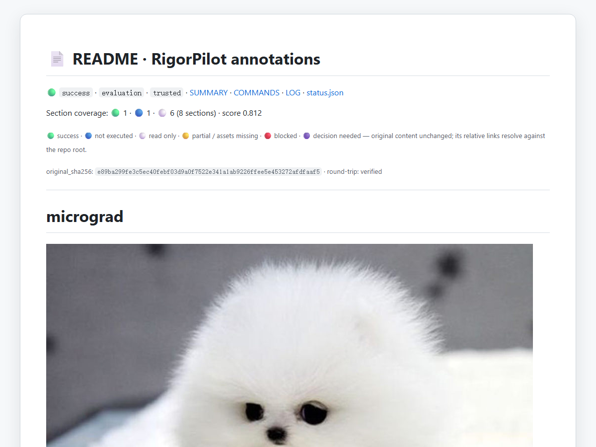 micrograd: recorded pytest execution and section-level evidence