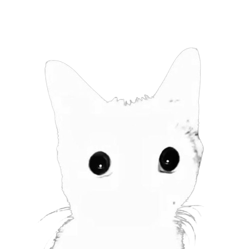 Cat illustration