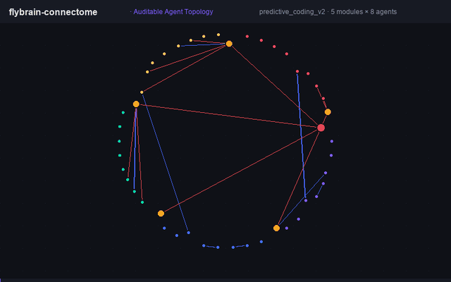 flybrain-connectome topology preview
