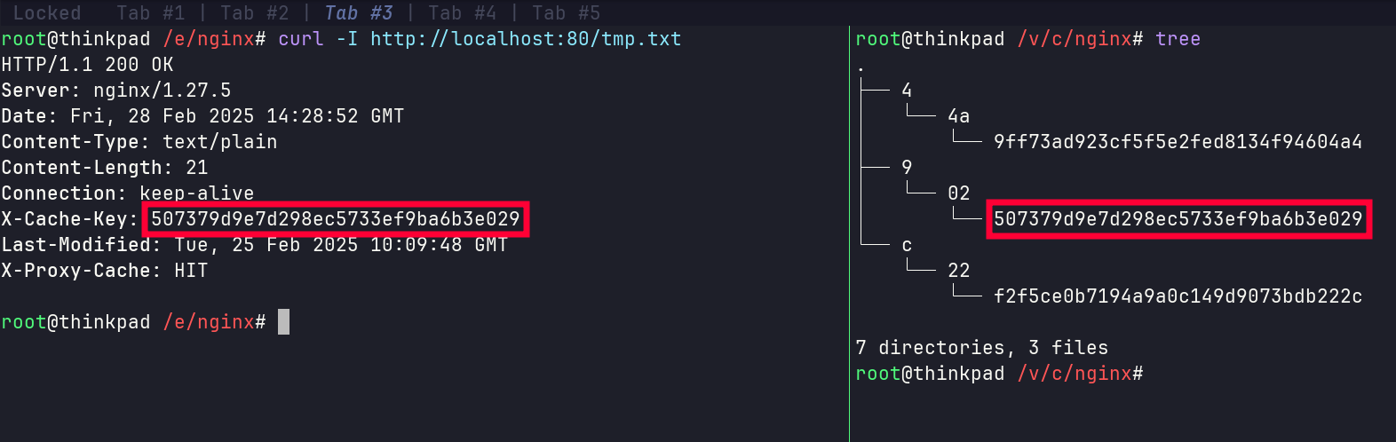 GitHub - lmnek/cdn77_task: Recruitment task for CDN77 · GitHub