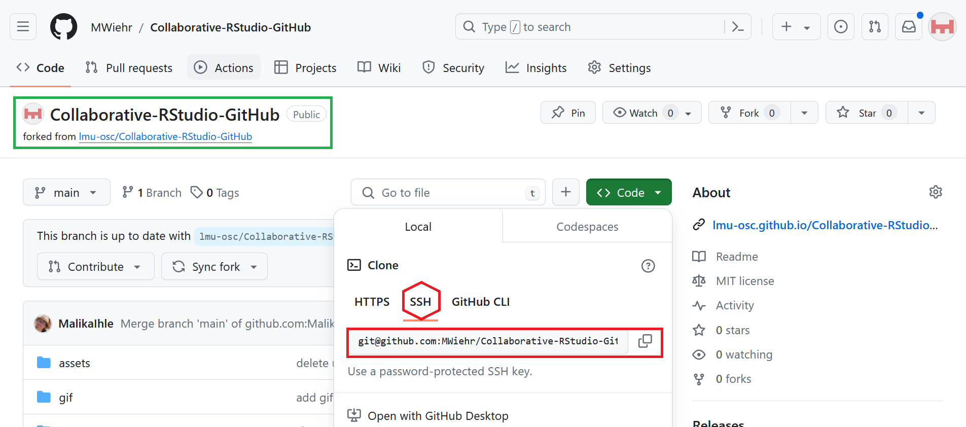 An image of the forked repository highlighting the SSH Key that's given when you press 'Code' and then 'SSH'. This key is needed to clone the repository.