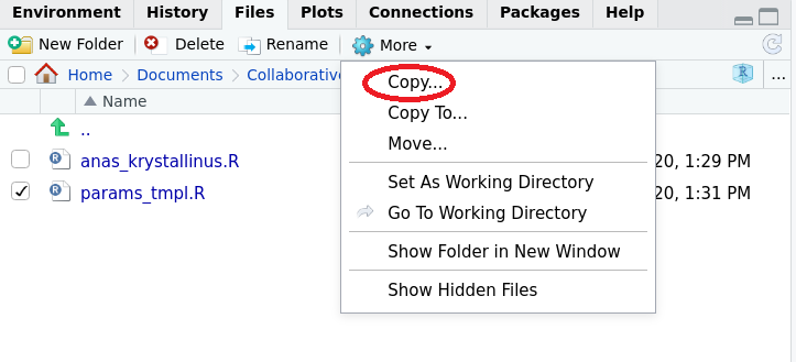 An image of the 'Files' tab in RStudio highlighting the 'Copy' button under the 'More' options on the toolbar within the tab.