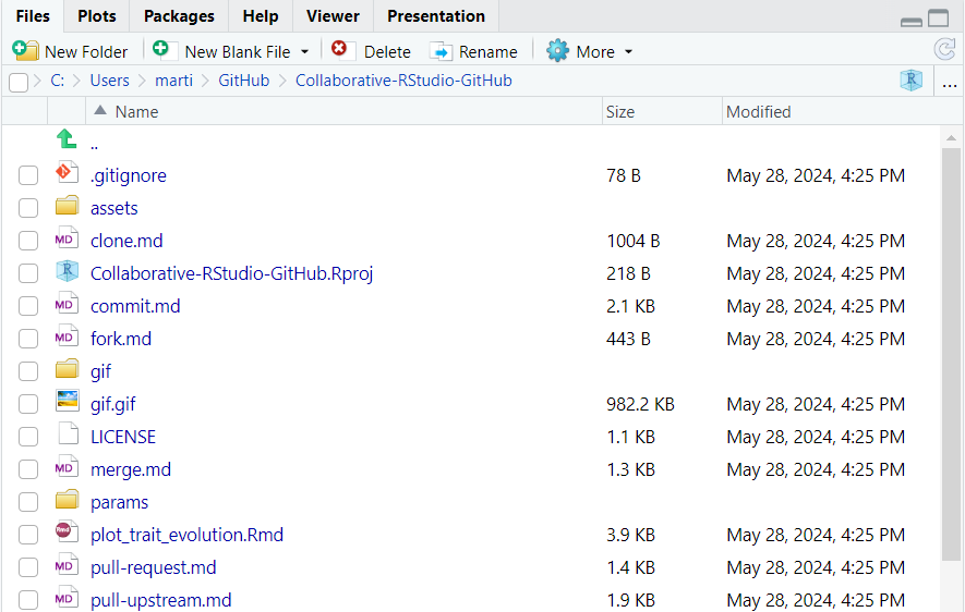 An image of the 'Files' tab in RStudio displaying the files of the cloned GitHub repository.