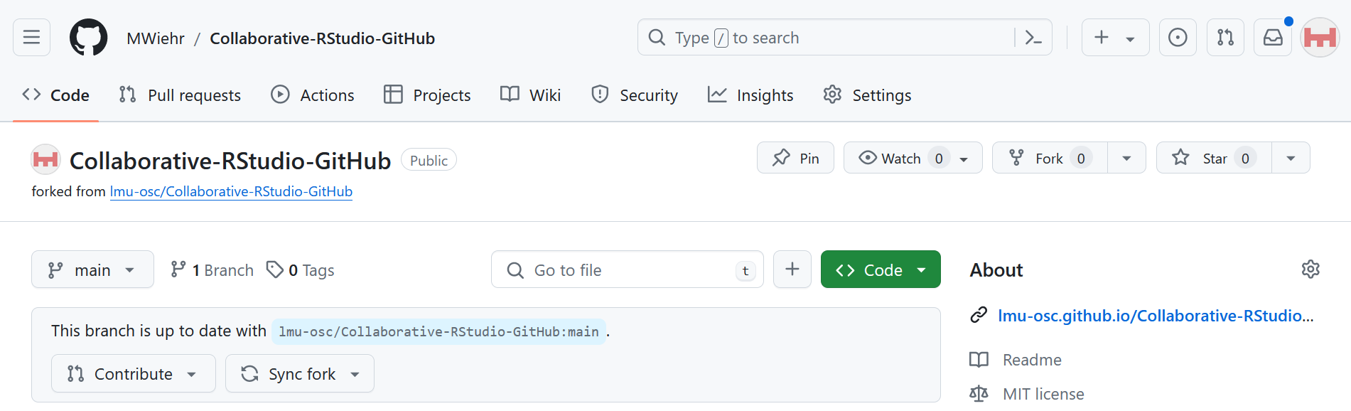 An image showing what the fork of the repository would look on the GitHub account including the name of the repository, where it was forked from, the status of the branch, and a 'Code' button.