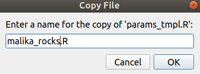 Screenshot with an example of a name for a copied file of a project in the RStudio GitHub integration.