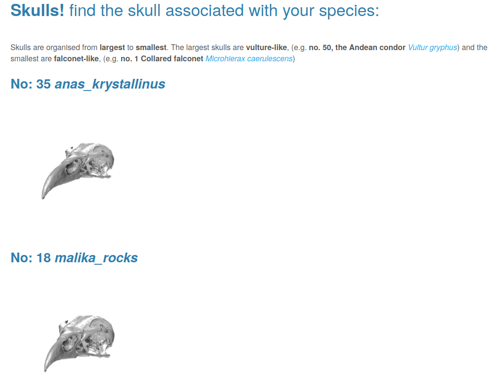 An image of skull images for two species 'No. 35 anas_krystallinus' and 'No. 18 malika_rocks' with a heading inviting users to find the skull associated with their species.